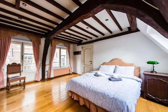Hofmarkgraaf - Unique Apartment In Historic Antwerp Mansion 0*,  Belgien